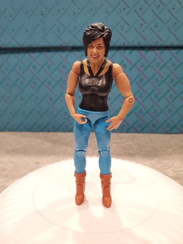 Mattel WWE Action Figure Series 38 – Vickie Guerrero Superstar In Scala 15cm