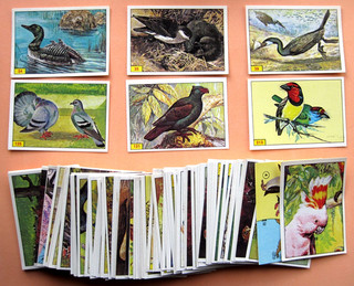 BIRDS PANINI 1979 BUNDLE 125 STICKERS VG /EXC