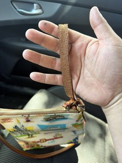 Retro WDW Disney World Dooney & Bourke Letter Carrier Crossbody Purse Mickey