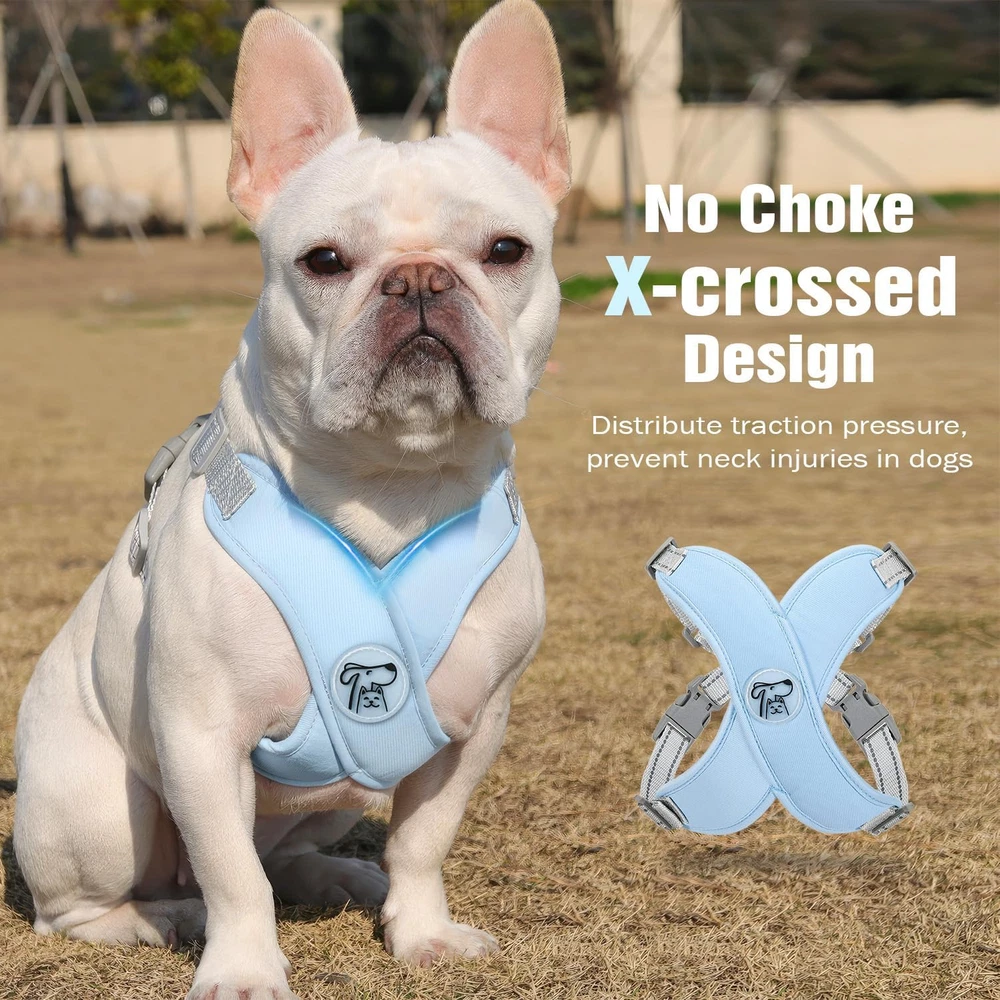 Dog Harness with Leash Set, X-Frame No Pull Pet Harness, Adjustable Choke Free D