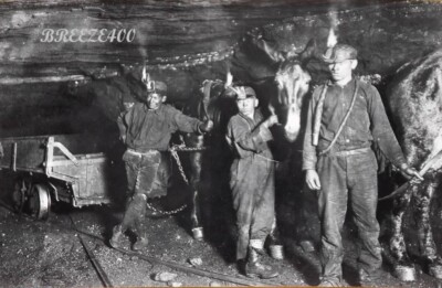 Early 1900's/APPALACHIAN COAL MINERS/4X6 B&W Photo Reprint