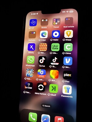 iPhone 13 Pro Max