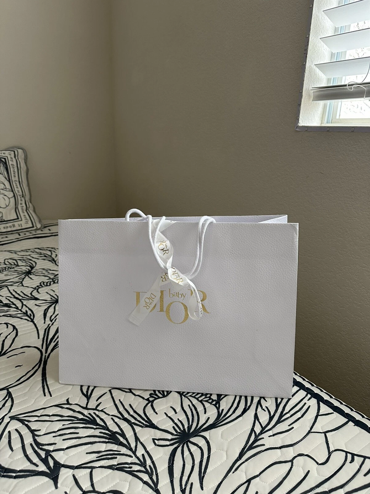 sac cadeau shopping dior. pls vérifier mon placard pour plus d'objets.