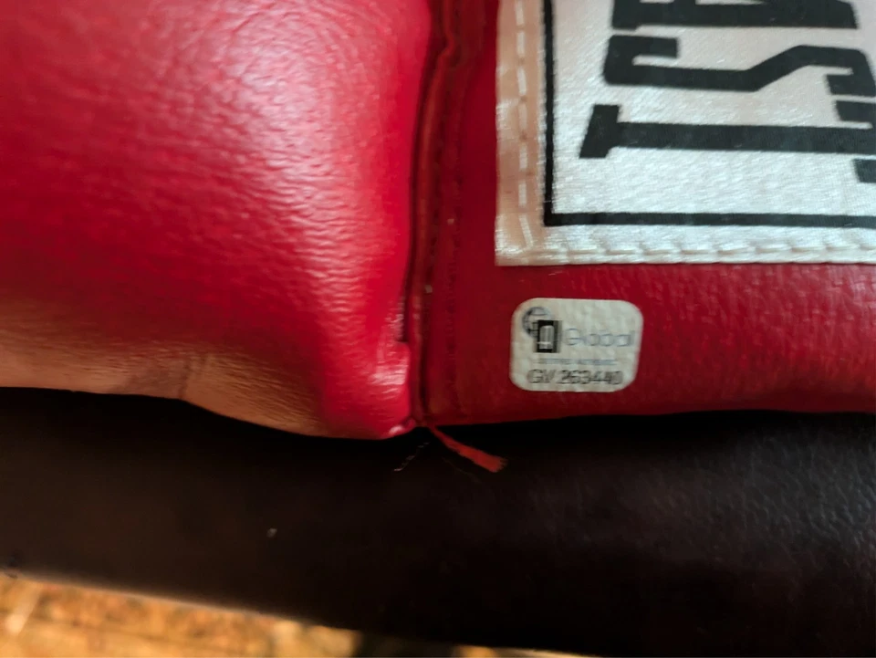 Guante de Boxeo Floyd Mayweather Jr Autógrafo GAI Auténtico CABRA Foto 2 de 3