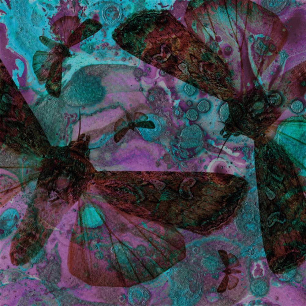 Y Gwyfyn - The Gentle Good (Audio CD)