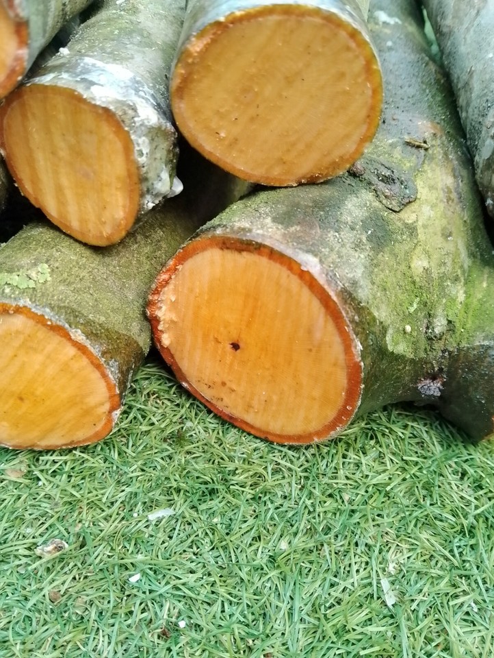 London plane woodturning spindle blanks,carving,craft wood,6.2kg300x30