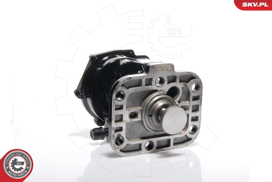 2x ✅Fits SKV GERMANY 18SKV011 VACUUM PUMP  ⭐UK Seller⭐