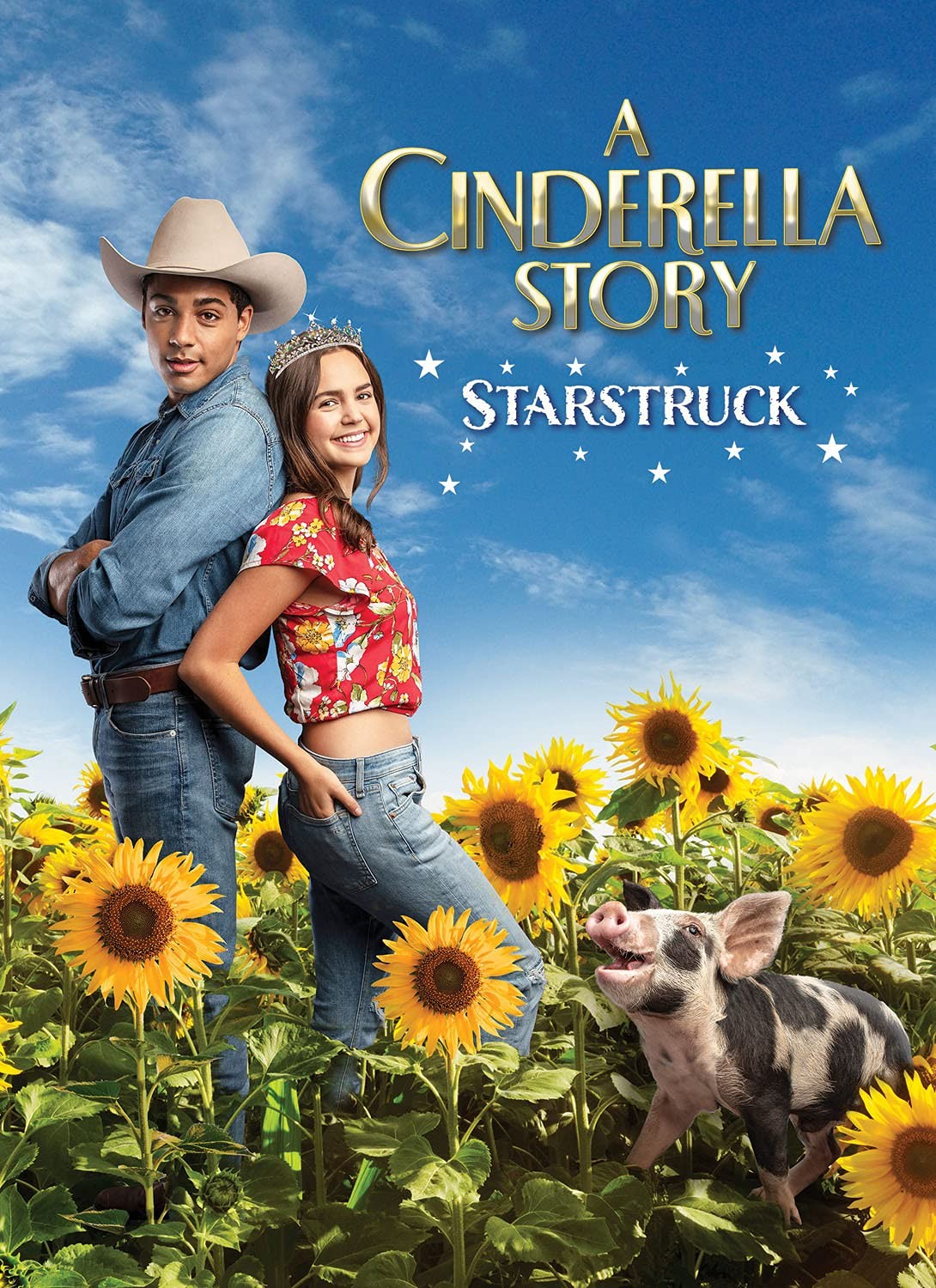A Cinderella Story: Starstruck (DVD) Behling Michael Evans Doucet-Roche Lillian