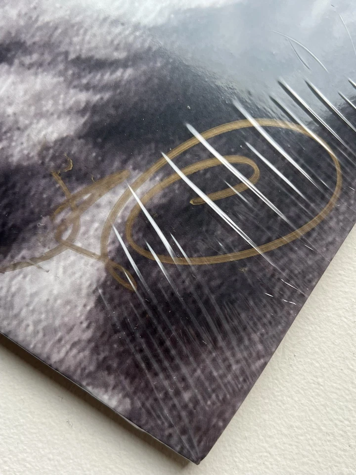 Tame Impala Signed Cover Deadbeat Vinyl Bluejay Blue - Image 2 of 2