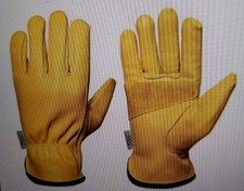 EdenX Gloves