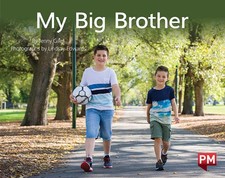 My Big Brother 1st Edition by Jenny Giles (English) Paperback Book