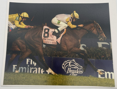 2011 Breeders  Cup Grade 1 Filly & Mare Turf Perfect Shirl & John 8x10 Photo