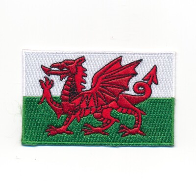30 x 20 mm Wales Cardiff Flagge Flag Europa GB Edel Aufnäher Aufbügler 1207 Mini