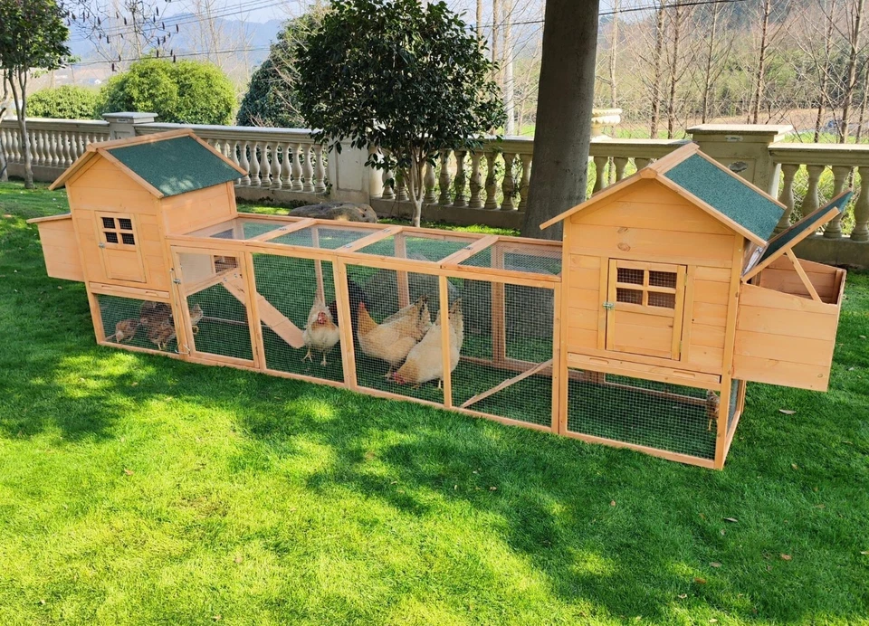 Gallinero al aire libre para 4-8 pollos de madera gallina conejo casa aves mascota cabaña Foto 2 de 4