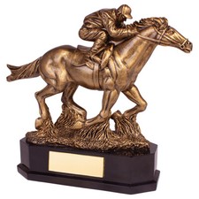 EQUESTRIAN RACE HORSE AWARD TROPHY 22CM IN SIZE FREE ENGRAVING
