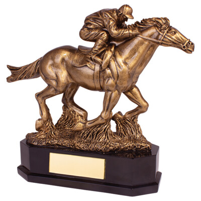 REITER RENNPFERD AUSZEICHNUNG TROPHÄE 22 CM GRÖSSE KOSTENLOSE GRAVUR