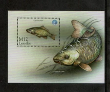 Lesotho 1998 - Marine Life Fish - Souvenir Stamp Sheet - Scott #1146 - MNH