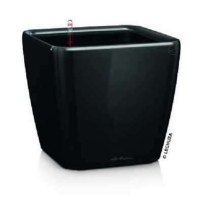 LECHUZA QUADRO Premium LS 43 Komplettset schwarz hochglanz