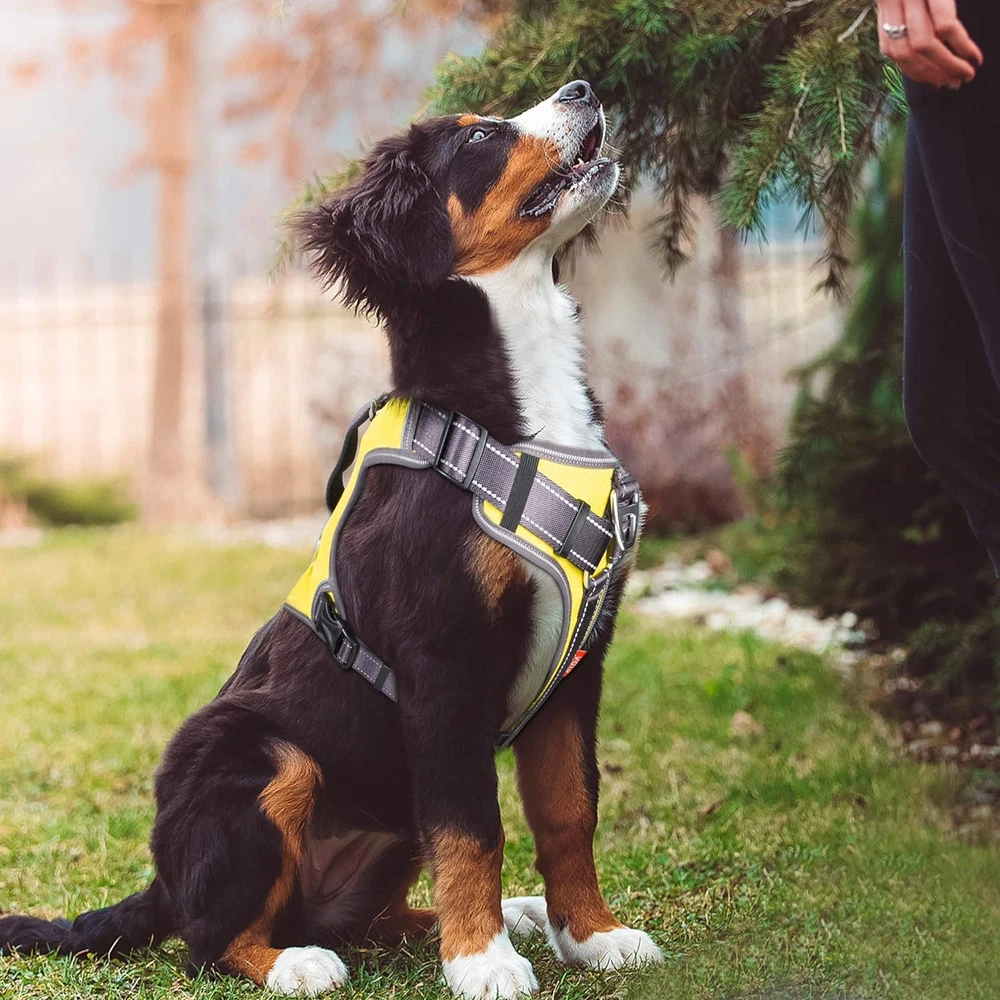 Dog Harness, Multi-Functional No-Pull Pet Vest Harness with Saddle Bags Backpack