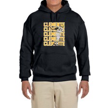 Pittsburgh Pirates Collecting and Fan Guide 41