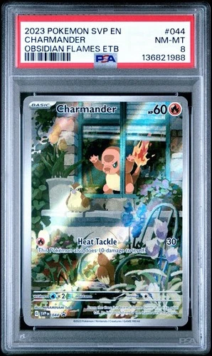 2023 Pokemon SVP EN Charmander Obsidian Flames ETB Promo #044 PSA 8