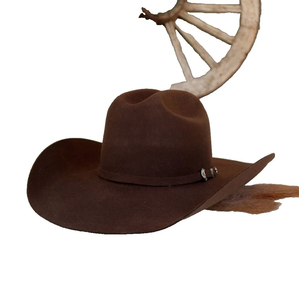 Chapéus de Cowboy Ariat para Homens