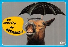 14-NORMANDIE HUMOUR-N�T2668-B/0021