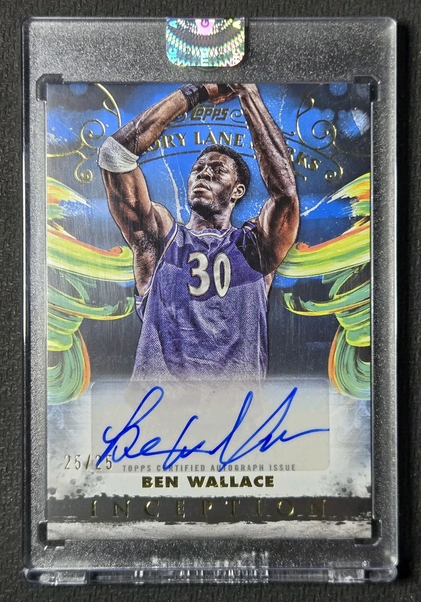 National Basketball Association (NBA) Ben Wallace Basketball
