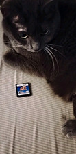 Kirby: Canvas Curse Nintendo DS NTSC Tested Saves