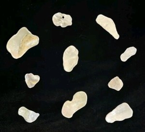 Beautiful Mother Of Pearl Shells  -California Lot of 10 Polished