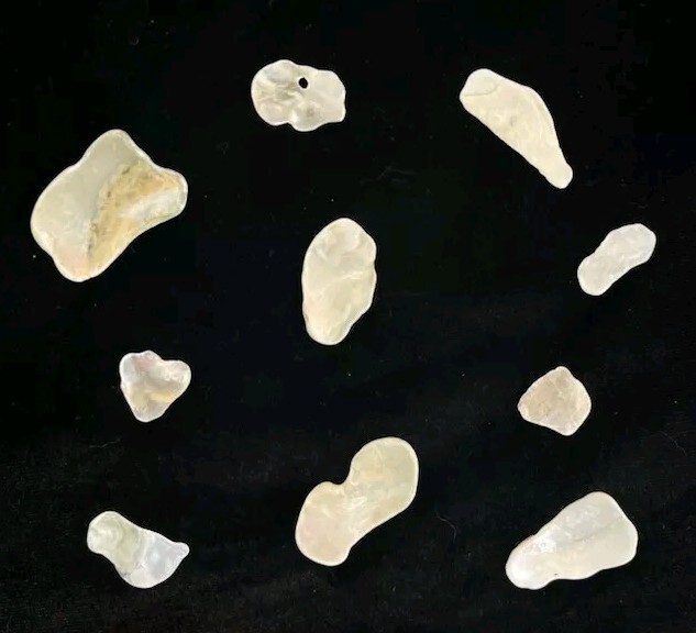 Beautiful Mother Of Pearl Shells  -California Lot of 10 Polished