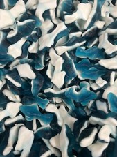 Assorted Gummi Shark Candy Bulk Candy Pick Yo...