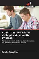 Natalia Parushina | Condizioni Finanziarie Delle Piccole E Medie Imprese | Buch