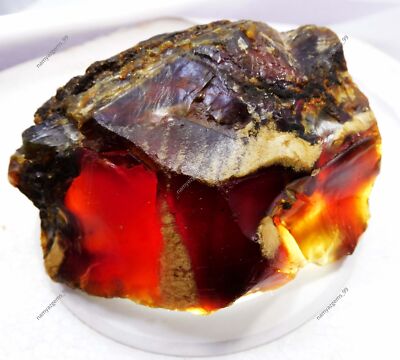 838 Ct Natural Honey Baltic Amber Untreated Certified Uncut Rough Loose Gemstone