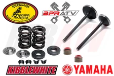 Yamaha XT250 Raptor 250 Valves & Spring Kit Titanium Kibblewhite RED Viton Seals