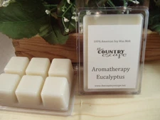 Eucalyptus Essential Oil Scented Soy Wax Clamshell Tart