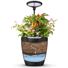 iDOO 2-in-1 Hydroponics & Soil Growing System, 6 Pods Indoor Herb Garden Counter