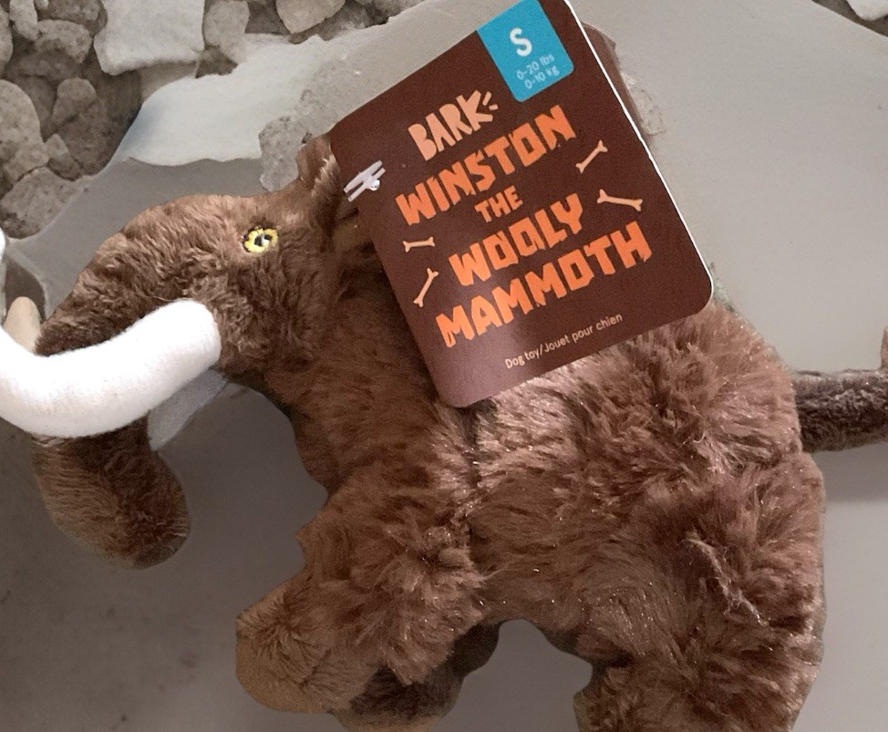 NEW Bark Box  &ldquo;Winston the Wooly Mammoth&rdquo; Dog Toy Plush for Small Dogs Squeaky