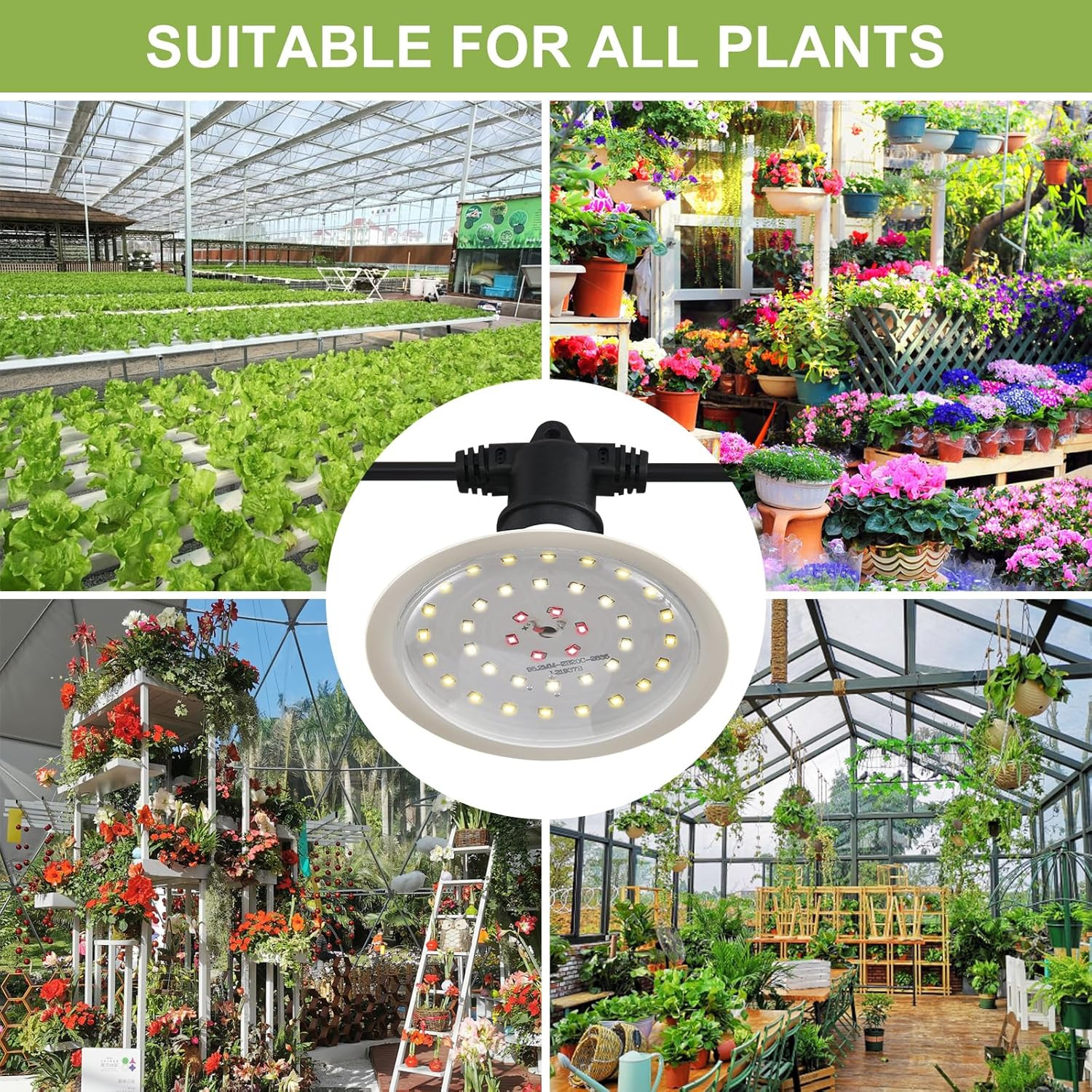 Full Spectrum Outdoor Grow Lights for Plants, 22FT Waterproof String (6 Lights)