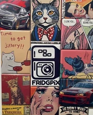 CUSTOM 2" X 3" Premium Fridge Magnets-You Choose Any Image-24hr Turnaround