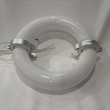 Neptun 200 Watt Induction Circular Bulb, 5000 Kelvin, NICT-C-200850