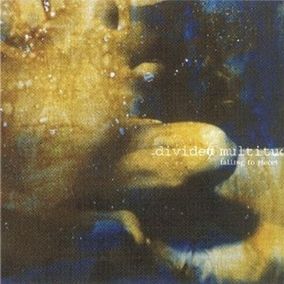 Divided Multitude - Falling To Pieces (UK IMPORT) CD NEW