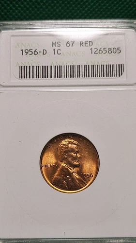 1956-D Lincoln Wheat Penny MS67 RD Very Nice REDS