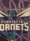 Women's Adidas Charlotte Hornets Short Sleeve T-shirts Size Large Lot of Two — photo 6