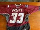 Autographed Ziggy Pallfey 2002 NHL All Star Game Jersey Size Large