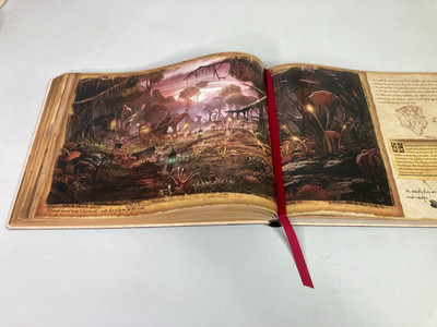 Skyrim Elder Scrolls The Emperor's Improved Guide to Tamriel Leather Art Book