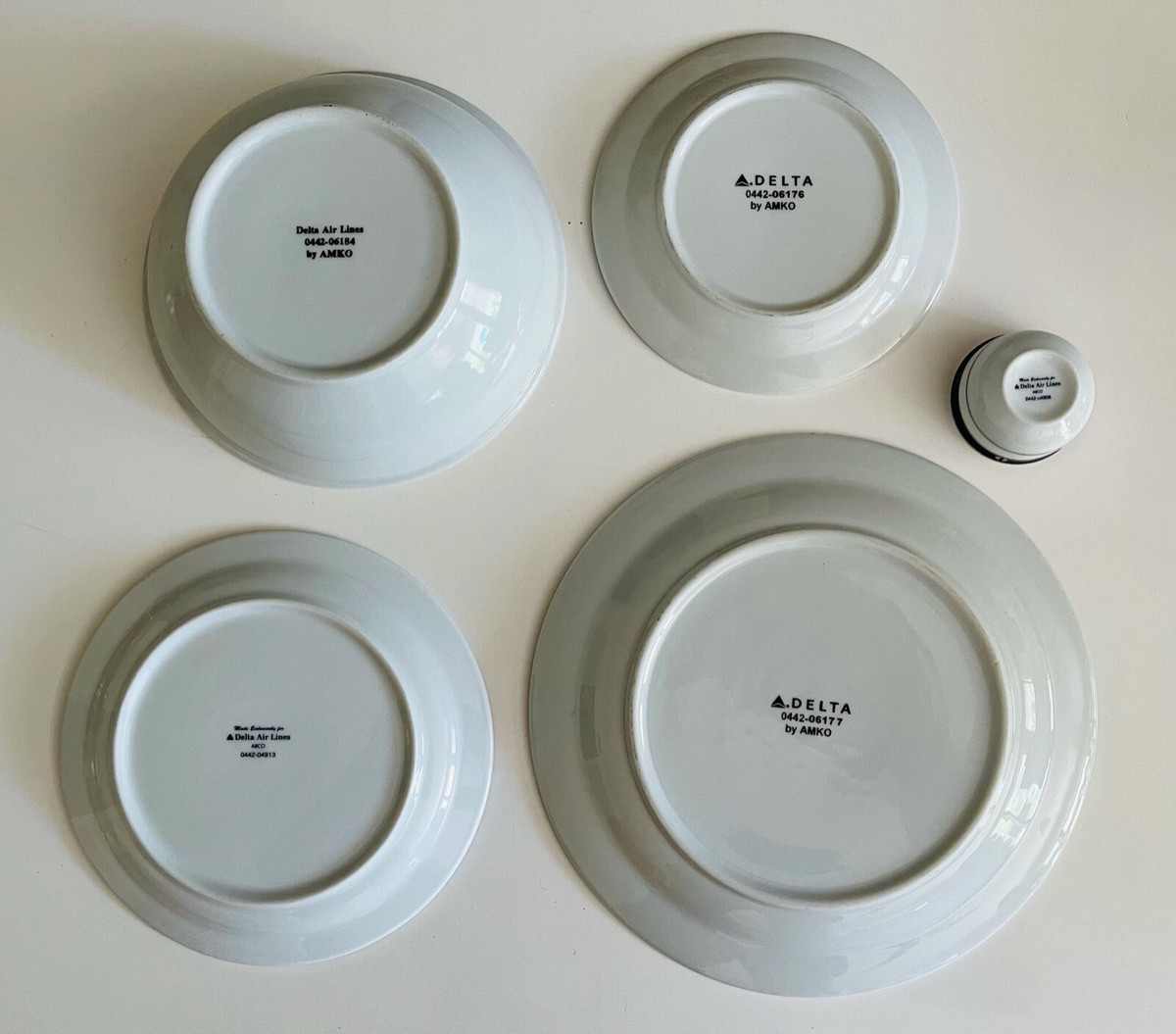 Delta Airlines International First Class 5-Piece Blue/Platinum