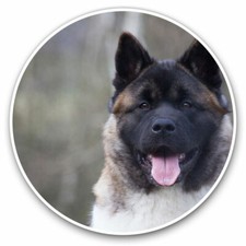 2 x Vinyl Stickers 10cm - Adult Akita Japanese Dog Animal Cool Gift #15709