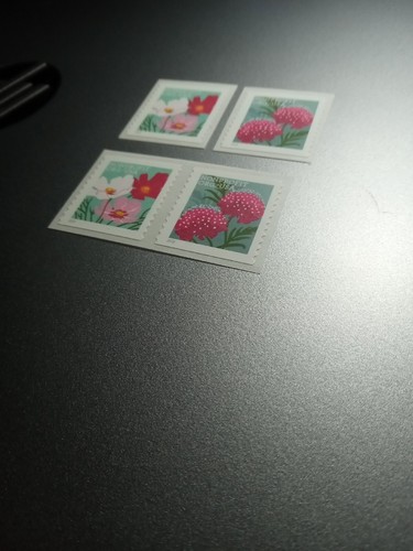 US 2022 5665 5 cent Butterfly Garden Flowers Nonprofit Org pair & singles MNH - Picture 6 of 8