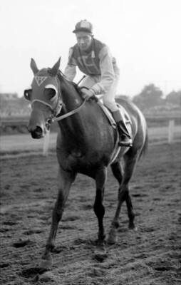 Red Pollard Race Horse Seabiscuit & Red Pollard Etc 1930s 66 Old Horse Racing Photo ...